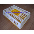 live chicken transport box/plastic broiler transport crate